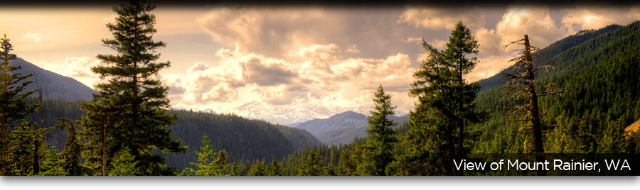 Page Banner Slide Show
